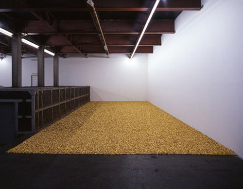 FELIX GONZALES-TORRES UNTITLED (PLACEBO-LANDSCAPE FOR RONI) (1993)